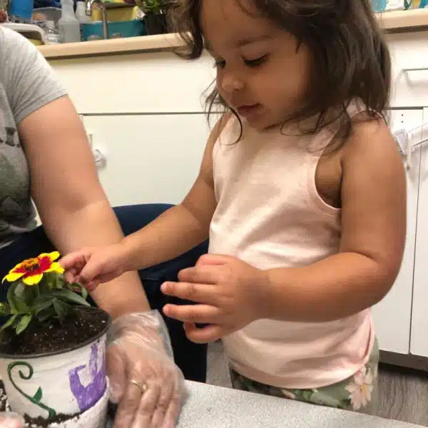 Student helping to plant a flower